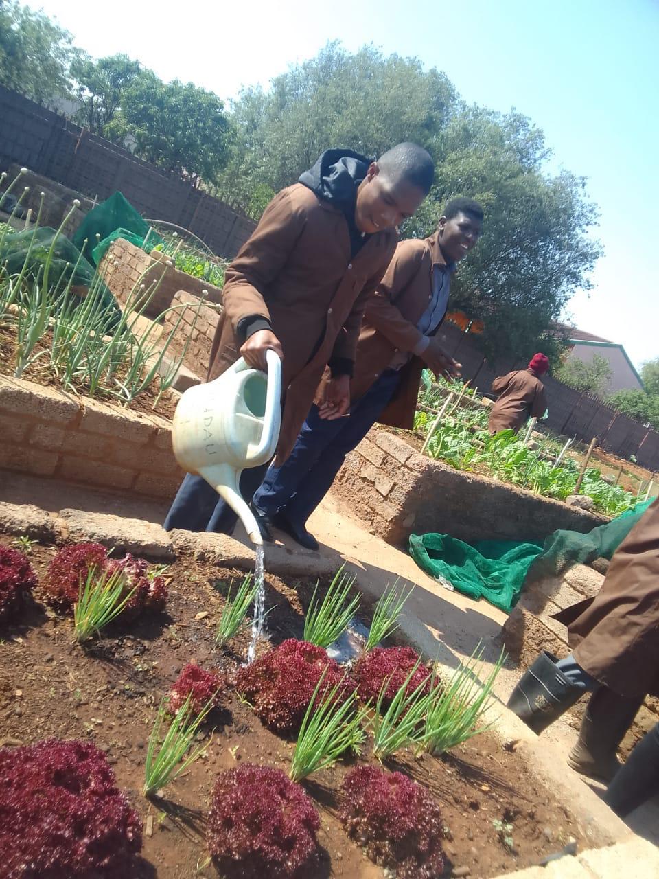 Watering
